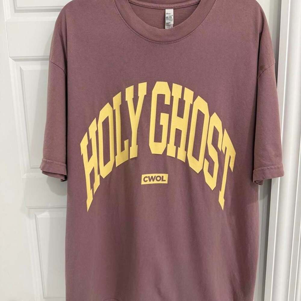 Los Angeles Apparel Holy Ghost CWOL Graphic T-Shirt Dusty Mauve Large